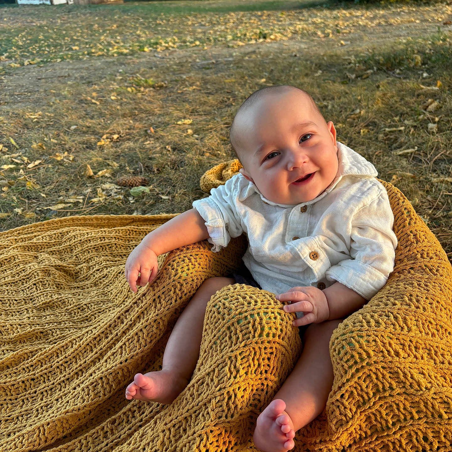 Hendrix joined the competition — help win amazing prizes! architecture, baby, building, countryside, face, food, grass, head, nature, outdoors, person, photography, plant, portrait, produce, shelter, soil, squash, summer, vegetable