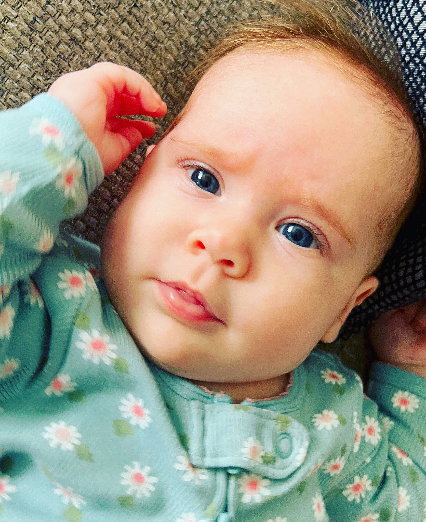 Dallas is registered to the contest to win money with this photo: cheek, chin, ear, eye, eyebrow, eyelash, hair, head, iris, lip, mouth, neck, nose, organ, person, product, skin, sleeve, smile, textile