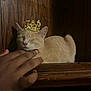 cat, crown, hand, wood, pet, resting, feline, beige, indoor, peaceful, animal, cute, portrait, sleeping, domestic_animal, furry, small_crown, touch, relaxing, closeup