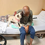 Bonnie joined the competition — help win amazing prizes! elderly_man, pug, dog, hospital_bed, hospital_room, patient, pet, playful, leisure, companion, indoor, floor, wheelchair, blanket, remote_control, bed, footwear_absent, pink_harness, human_dog_interaction, comfort