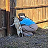 Bonnie is registered to the contest to win money with this photo: dog, pug, person, outdoor, fence, wooden_fence, grass, sunlight, curious, crouching, pet, backyard, shadow, casual_clothing, headband, interaction, nature, daylight, animal, playful