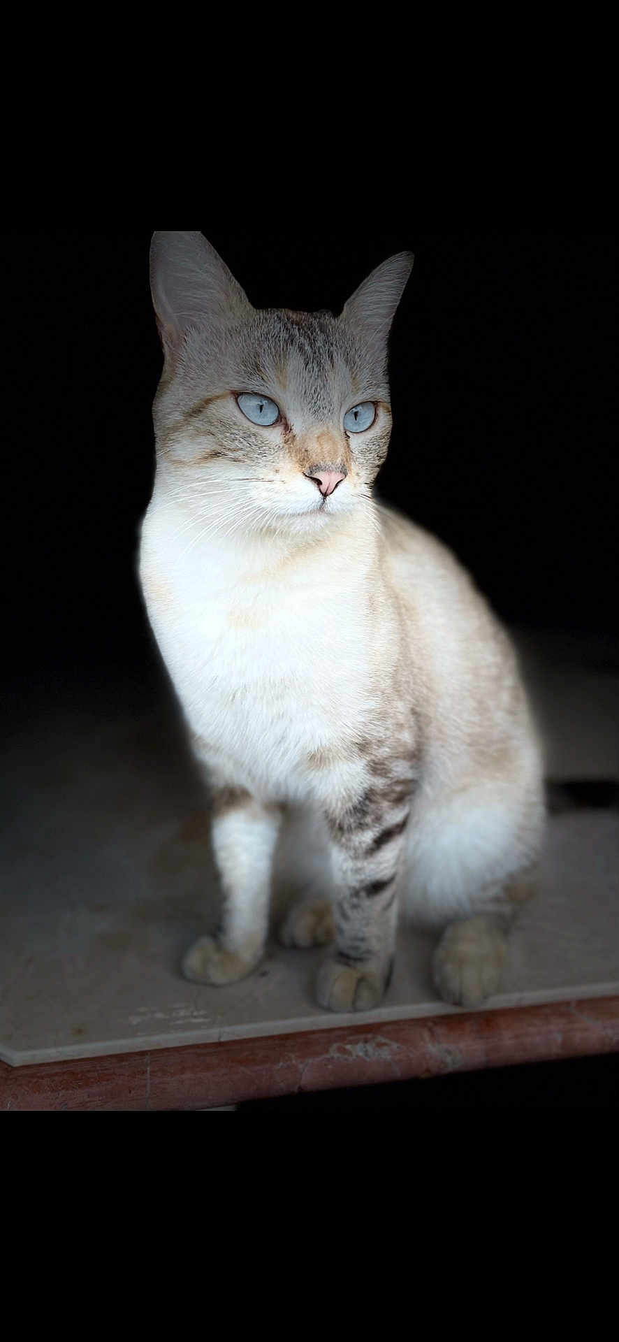 Catba
