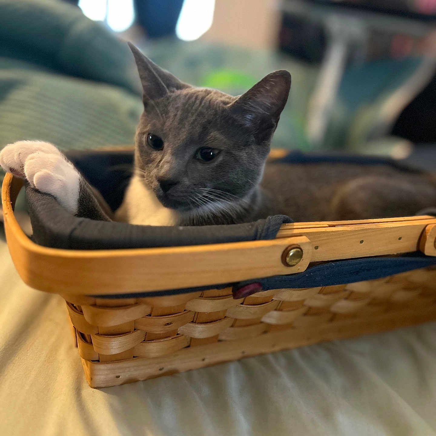 Winston