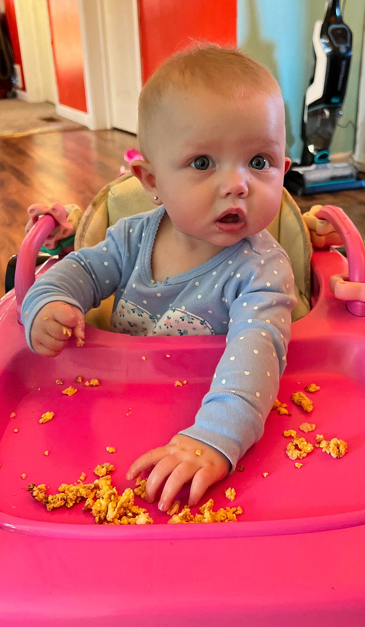 Blakley joined the competition — help win amazing prizes! baby, baby_toddler_clothing, cheek, child, comfort_food, event, finger, flooring, fun, happy, magenta, person, pink, play, product, red, sitting, surprise, sweetness, toddler