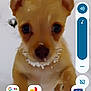 puppy, dog, snow, close_up, cute, pet, animal, outdoor, young, small, ears, face, nose, whiskers, winter, app_icons, mobile_screen, blur, background, curious