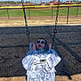 Dallas is registered to the contest to win money with this photo: baby, swing, sunglasses, playground, outdoor, child, sunny, woodchips, fence, baseball_field, grass, blue_sky, chains, happy, smiling, seat, clothing, daytime, fun, park