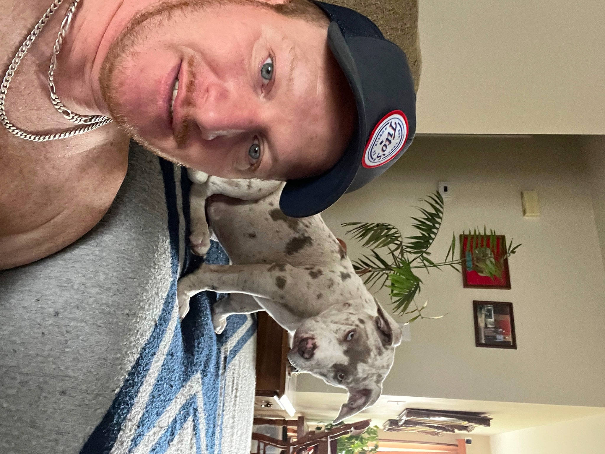 Merle joined the competition — help win amazing prizes! barechested, beard, chest, elbow, facial_hair, fur, jewellery, military_camouflage, moustache, plant, sporting_group, t_shirt, visual_arts, wrinkle