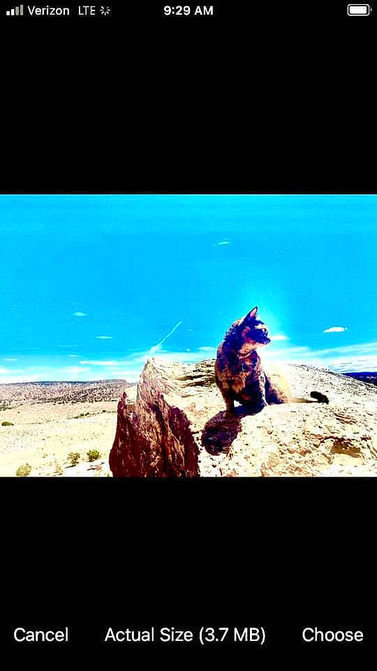 Terrapin joined the competition — help win amazing prizes! aeolian_landform, calm, electric_blue, font, formation, fun, geology, horizon, landscape, natural_landscape, ocean, plant, recreation, rock, sand, sky, tints_and_shades, tourism, travel, water