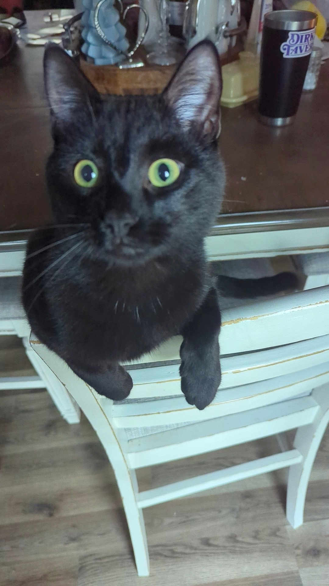 Kitkat