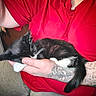 cat, kitten, black_and_white, sleeping, resting, pet, animal, person, holding, arms, hands, tattoos, red_shirt, white_paws, whiskers, fur, indoors, couch, closeup, portrait