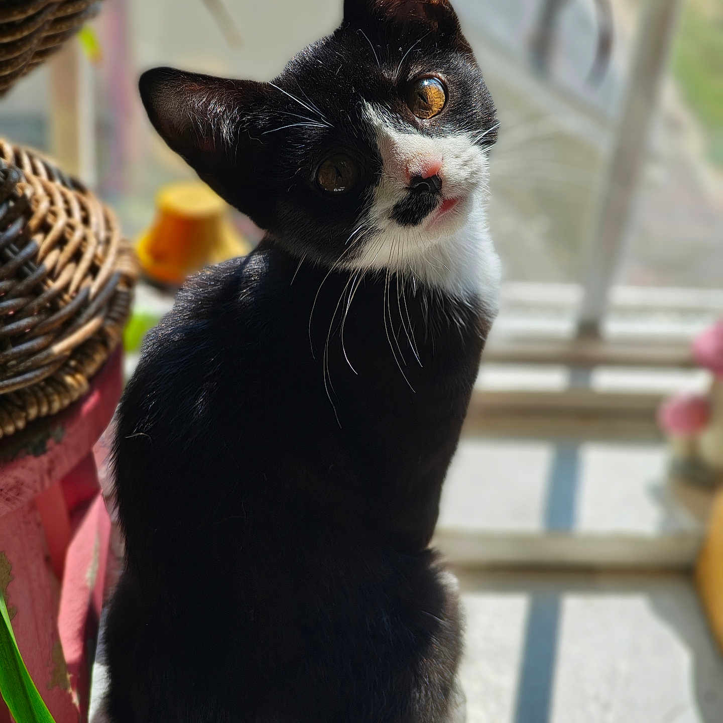 Prettygorl