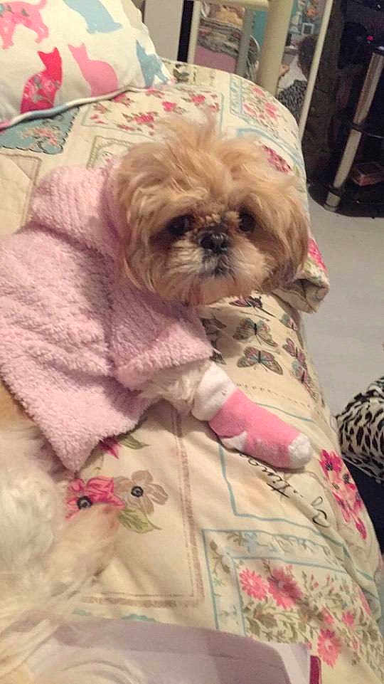 Princess