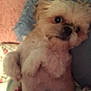 Princess is registered to the contest to win money with this photo: