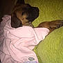 Luna is registered to the contest to win money with this photo: