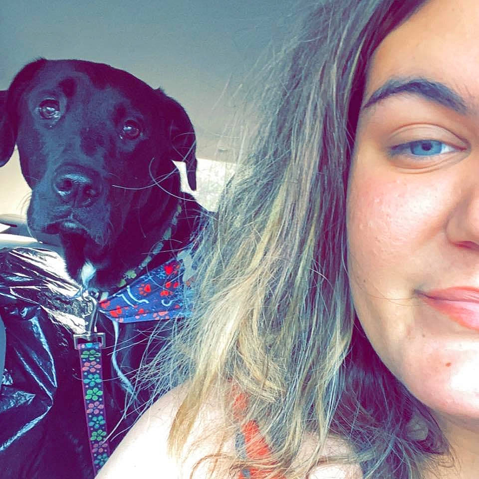 Minnie joined the competition — help win amazing prizes! carnivore, companion_dog, dog, dog_breed, dog_collar, electric_blue, eye_liner, eyelash, eyewear, fashion_accessory, fun, fur, gesture, happy, lip, organ, personal_protective_equipment, selfie, sporting_group, working_animal