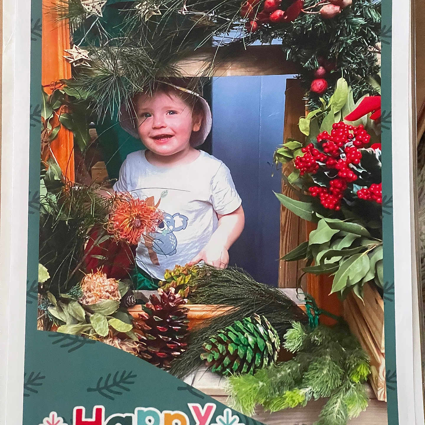 Phoenix is registered to the contest to win money with this photo: accessories, advertisement, animal, architecture, art, baby, berry, blonde, bodypart, bud, building, canine, christmas, christmasdecorations, christmastree, clothing, conifer, costume, dahlia, daisy