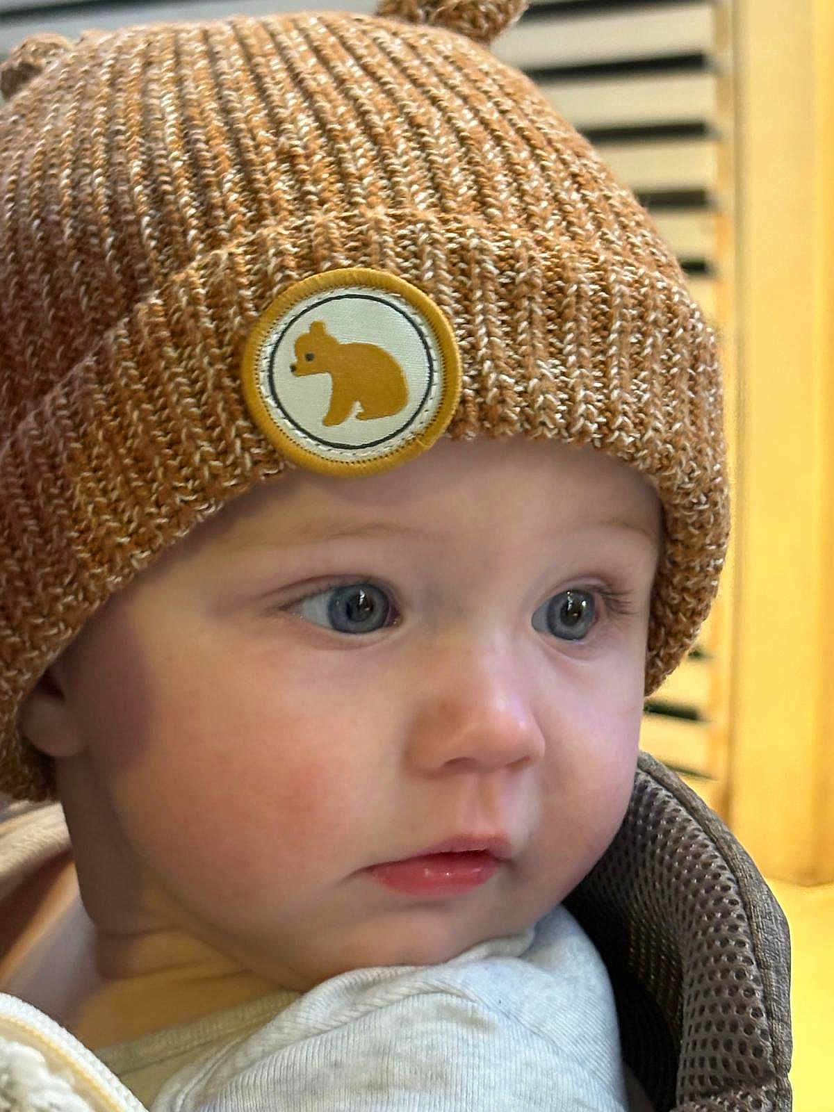 Gabriel a rejoint le concours — aidez-le/la à gagner de superbes lots ! baby, child, face, blue_eyes, knit_hat, brown_hat, bear_patch, closeup, rosy_cheeks, soft_clothing, portrait, cute, indoors, warm_lighting, headwear, infant, looking_away, expression, person, young_child