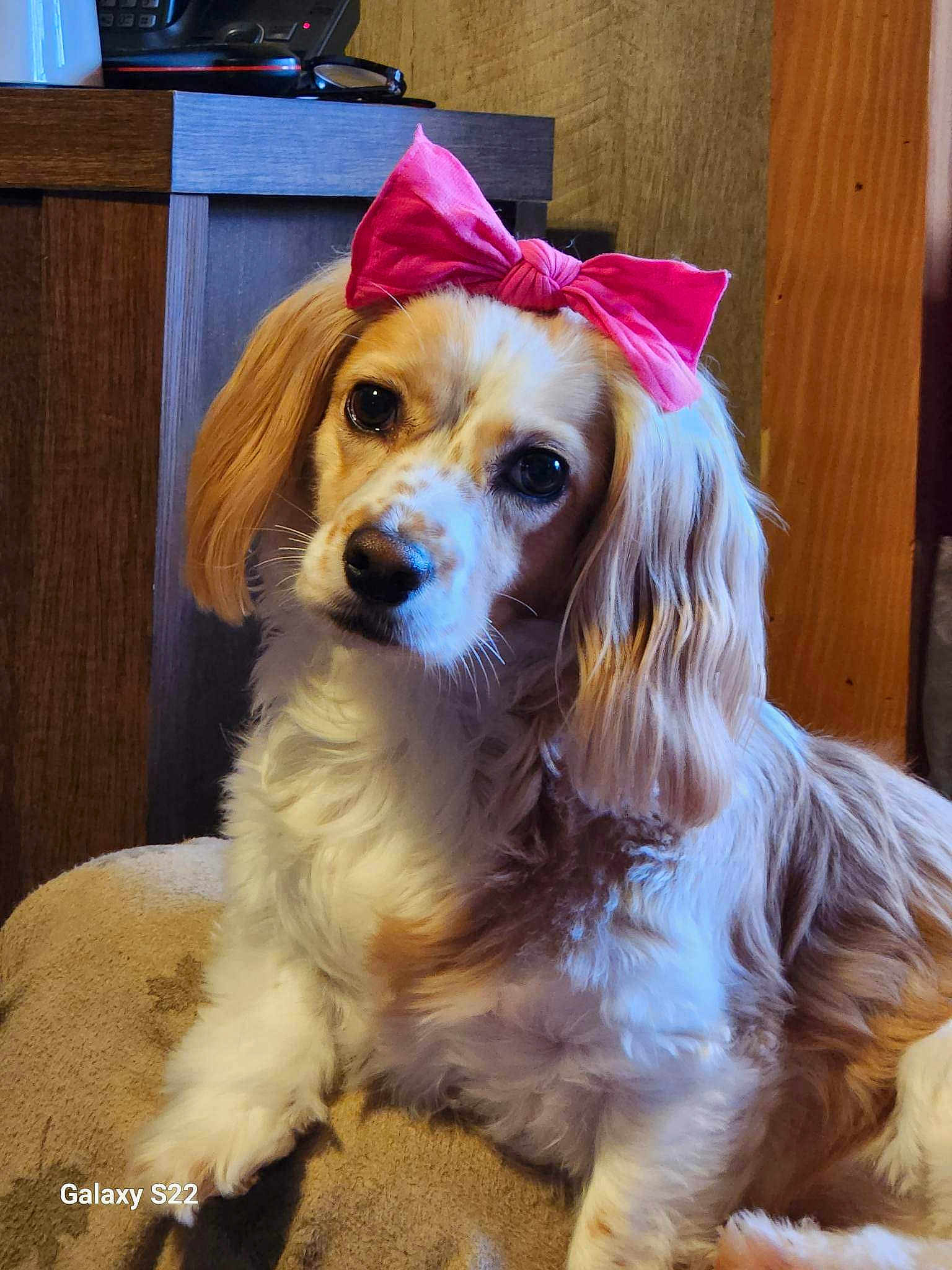 Princess