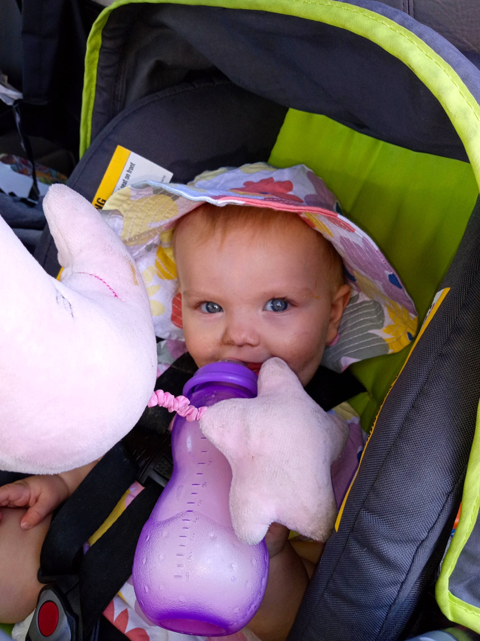 Leoline is registered to the contest to win money with this photo: baby, baby_carriage, baby_in_car_seat, baby_products, baby_toddler_clothing, car_seat, cheek, child, comfort, fun, gesture, lap, person, pink, plush, product, purple, sitting, stuffed_toy, thumb