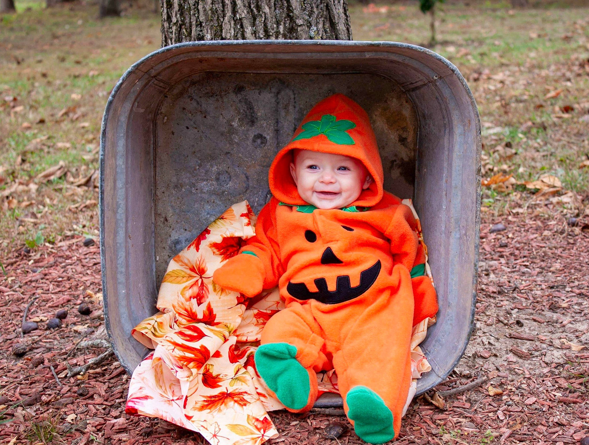 Bristol joined the competition — help win amazing prizes! child, costume, fictional_character, fun, headwear, joy, lawn_ornament, leaf, orange, outerwear, person, play, pumpkin, smile, toddler, trick_or_treat