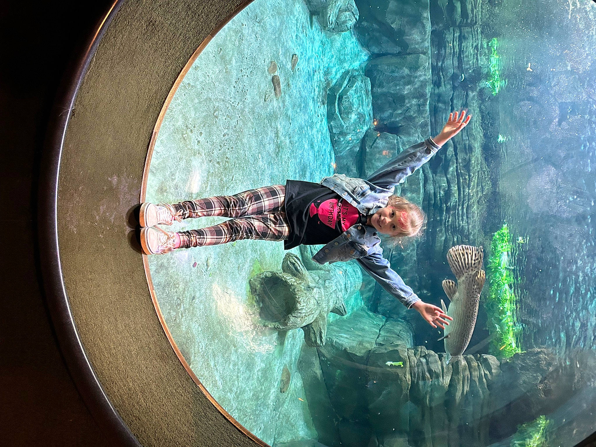 Piper joined the competition — help win amazing prizes! adventure, astronomical_object, boardsport, cg_artwork, circle, extreme_sport, flash_photography, fun, graphic_design, graphics, helmet, joy, leisure, person, personal_protective_equipment, recreation, skimboarding, sports, sports_equipment, surface_water_sports