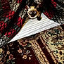 cat, siamese_cat, blanket, patterned_blanket, curious, wide_eyes, indoor, carpet, floral_carpet, cozy, peeking, fur, pet, animal, cute, domestic_cat, whiskers, ears, resting, home