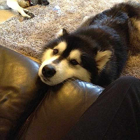 Mia is registered to the contest to win money with this photo: