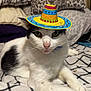 cat, sombrero, hat, white_cat, black_spots, bed, bedding, pillow, indoor, pet, animal, fur, whiskers, relaxed, cute, green_eyes, small_hat, resting, domestic_cat, closeup