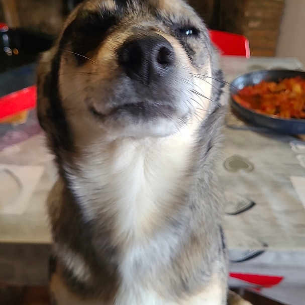 Kiki