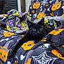black_cat, cat, pet, animal, indoor, blanket, halloween_theme, pumpkin_pattern, spider_web, bones_pattern, paw, remote_control, curious_eyes, cozy, relaxed, feline, soft_texture, orange, black, purple