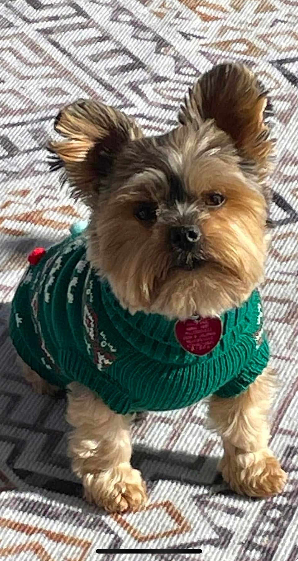 Tucker