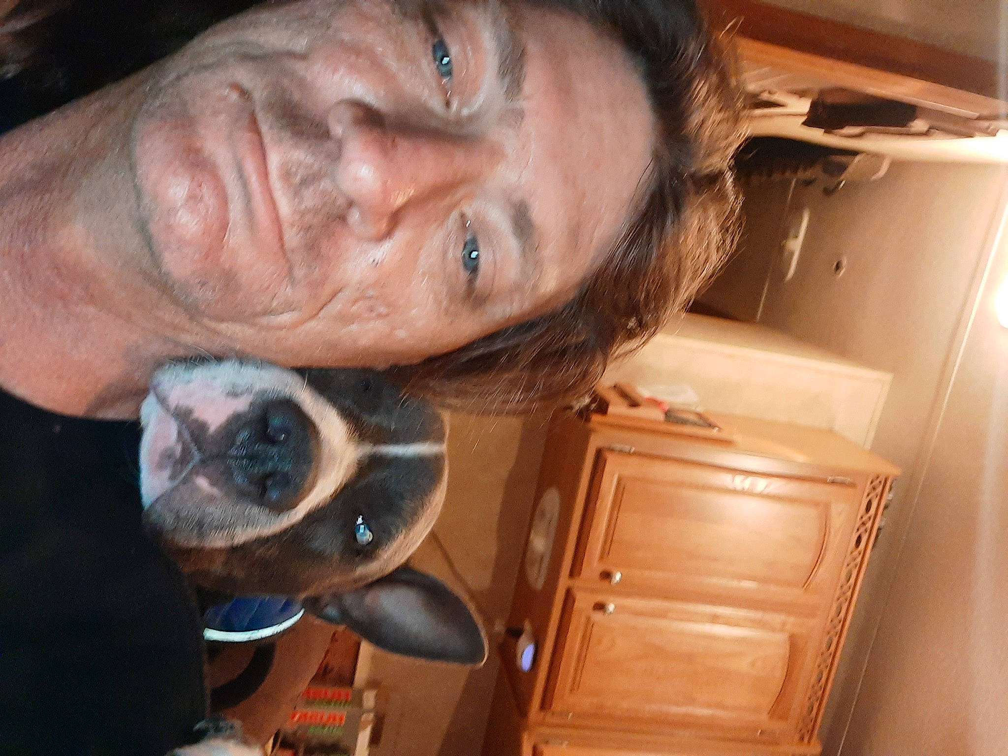 Cobalt joined the competition — help win amazing prizes! beard, carnivore, chest, comfort, dog, dog_breed, door_handle, ear, eyewear, facial_hair, fun, jaw, mouth, nose, organ, snout, sunglasses, vehicle_door, wood, wrinkle