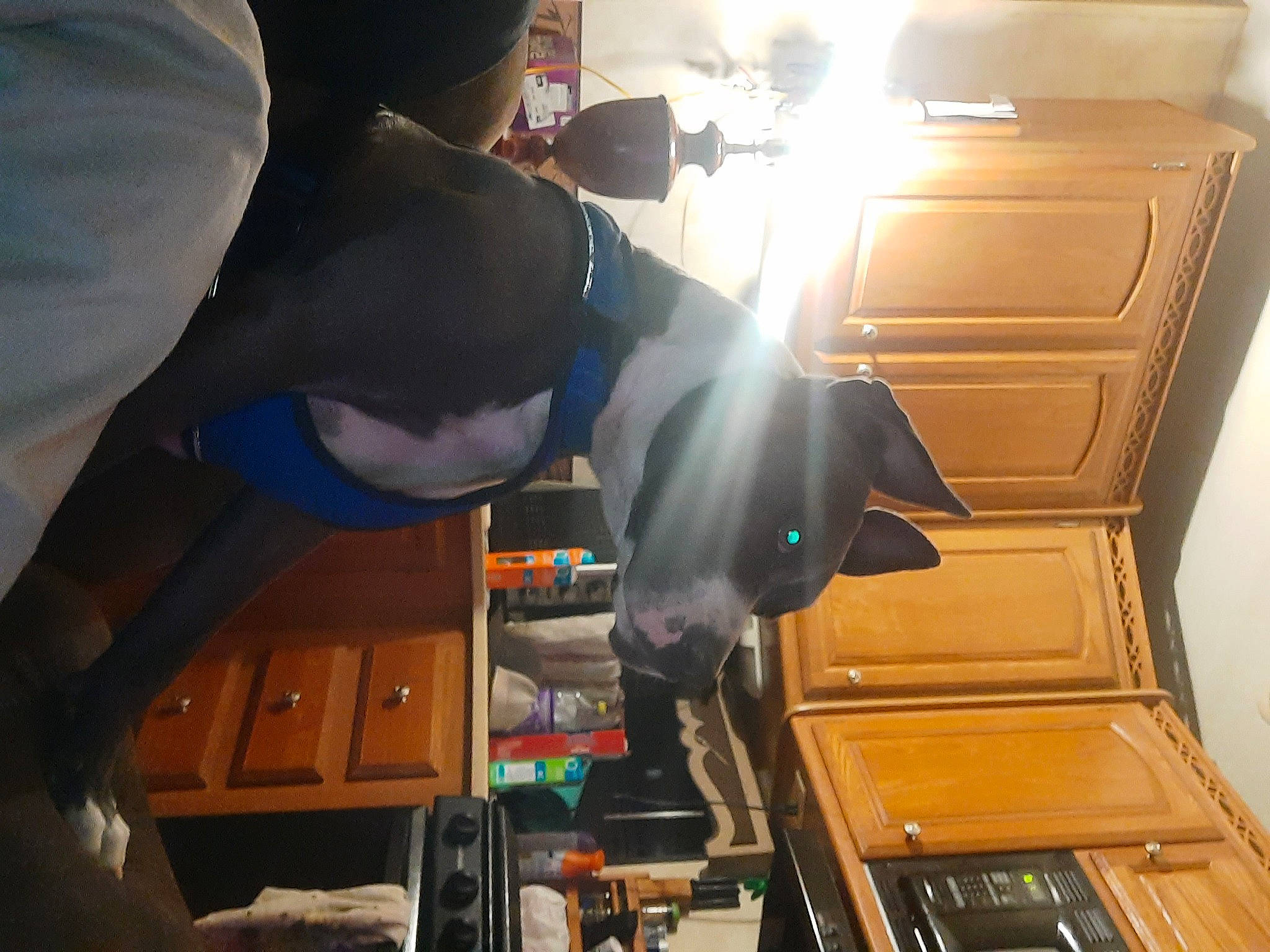 Cobalt is registered to the contest to win money with this photo: audio_equipment, cabinetry, computer_hardware, fictional_character, flooring, fun, gesture, hat, helmet, human_leg, job, machine, personal_protective_equipment, room, service, vehicle_door, wood