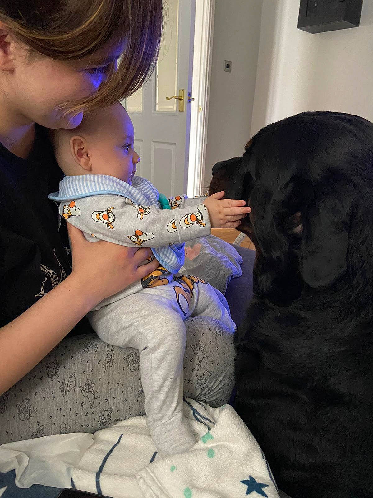 Gustavo joined the competition — help win amazing prizes! baby, child, doll, ear, person, play, toddler, toy