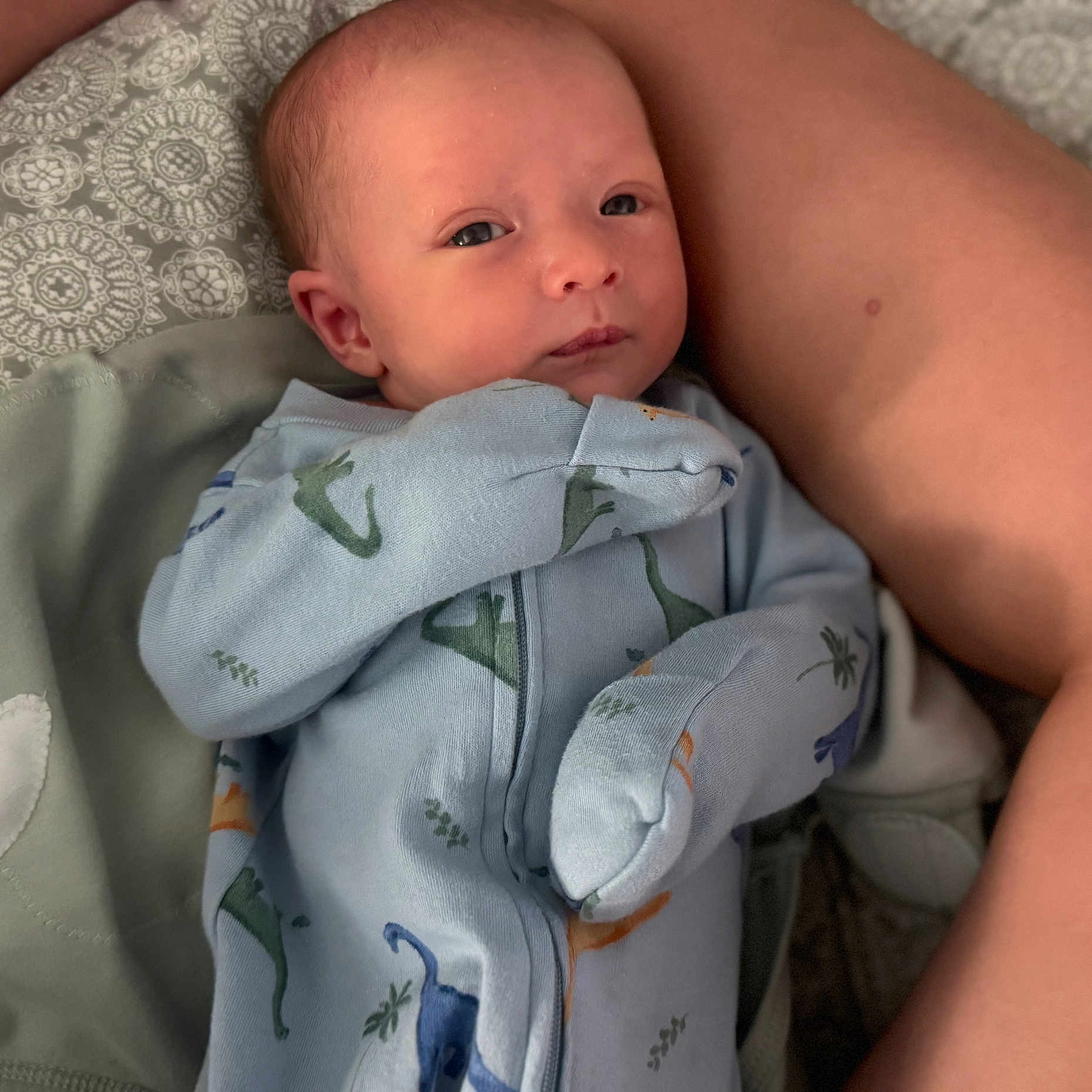 Bryson joined the competition — help win amazing prizes! baby, blanket, child, comfort, cozy, cute, dinosaur_print, eyes, face, human, indoors, infant, legs, newborn, onesie, portrait, resting, skin, sleepwear, soft_lighting