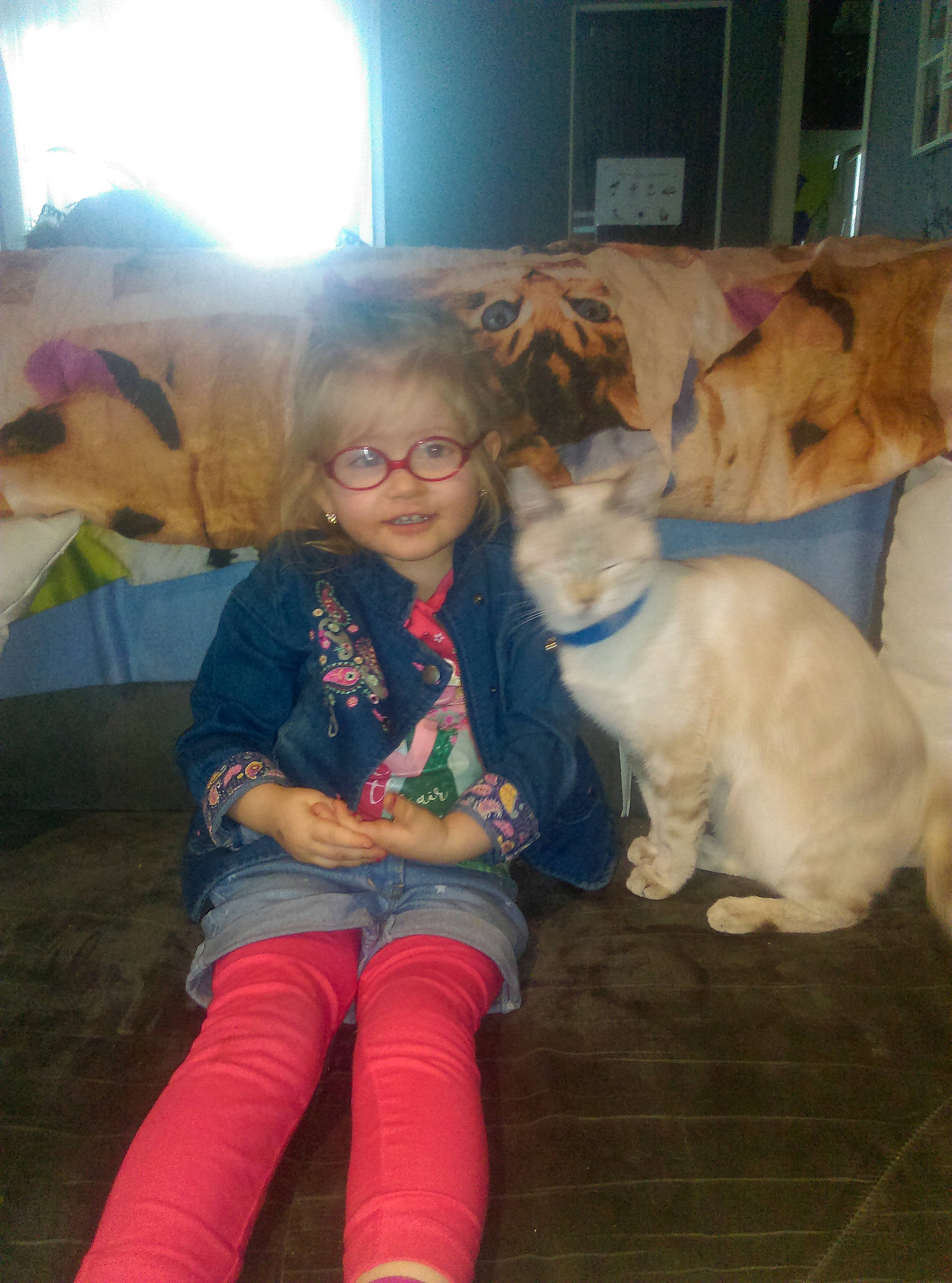 Chaton a rejoint le concours — aidez-le/la à gagner de superbes lots ! carnivoran, child, dog, dog_breed, dog_breed_group, dog_like_mammal, fun, girl, golden_retriever, mammal, person, play, product, puppy, retriever, skin, sporting_group, toddler, vertebrate