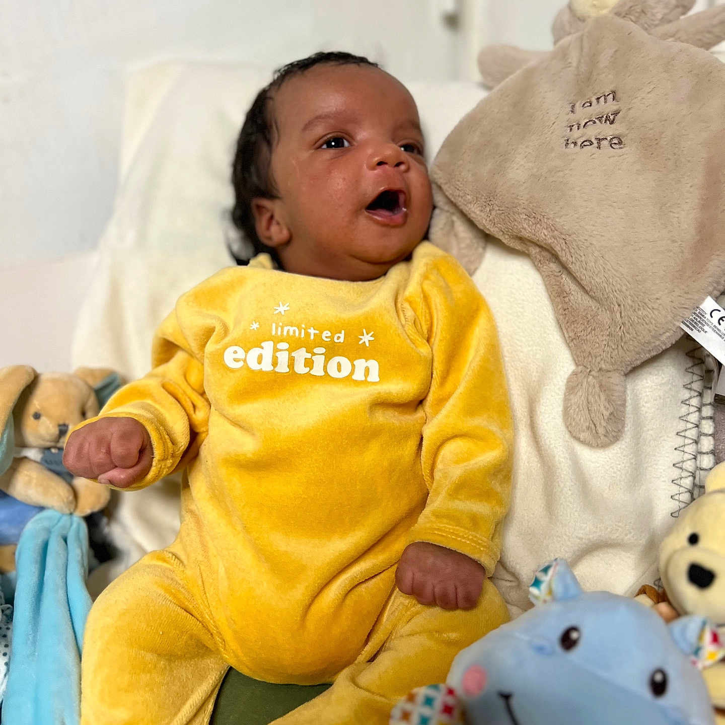 Wayson a rejoint le concours — aidez-le/la à gagner de superbes lots ! baby, blanket, child, cozy, cute, face, hand, happy, indoors, infant, limited_edition, newborn, photography, plush_toy, portrait, sitting, smiling, soft_toy, stuffed_animal, yellow_onesie