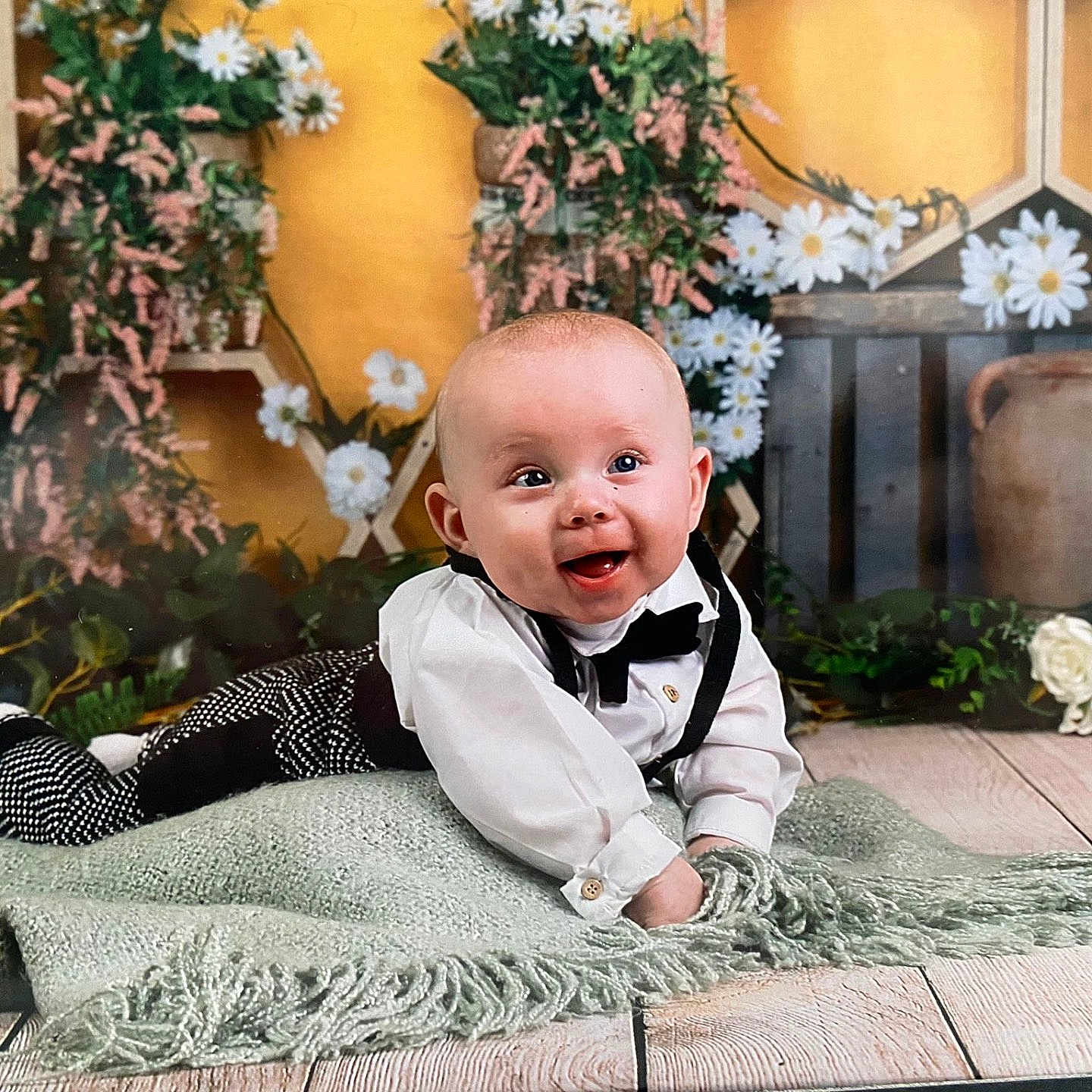 Levi-James is registered to the contest to win money with this photo: baby, babycrawling, babylaughing, crawling, face, flower, happy, head, person, photography, plant, portrait, pottedplant, rose, sitting