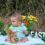 Levi is registered to the contest to win money with this photo: baby, infant, child, sitting, easter, easter_eggs, bunny, bunny_bait, carrots, props, yellow_flowers, bouquet, grass, outdoor, portrait, fur_rug, green_shirt, sign, decoration, spring