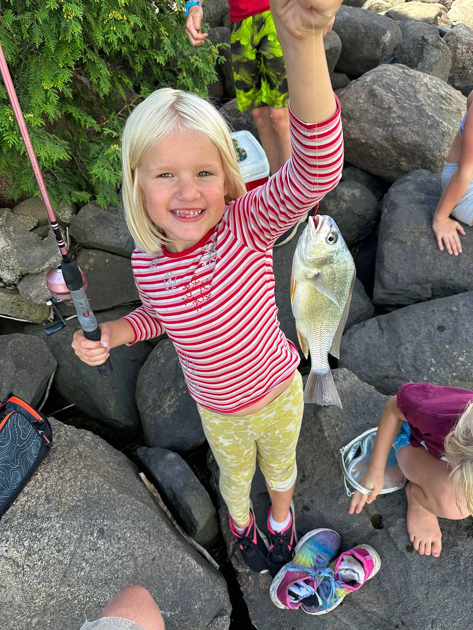Remington is registered to the contest to win money with this photo: eye, face, facial_expression, finger, gesture, grass, hand, happy, head, joy, leaf, leg, people_in_nature, person, photograph, pink, plant, product, shoe, shorts