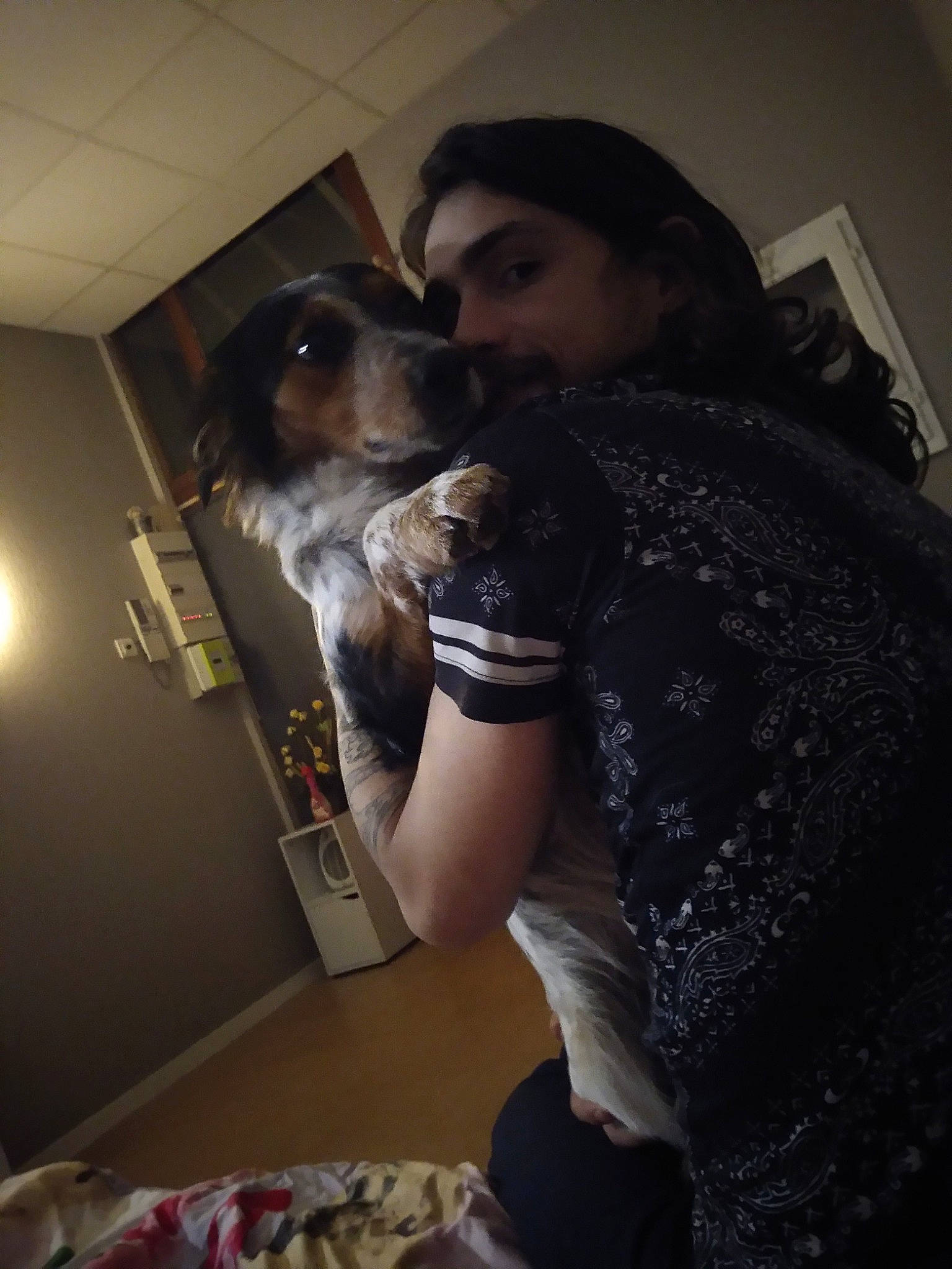 Rox a rejoint le concours — aidez-le/la à gagner de superbes lots ! arm, canidae, carnivore, companion_dog, dog, dog_breed, fox_terrier, fur, miniature_schnauzer, morkie, puppy, puppy_love, selfie, sporting_group