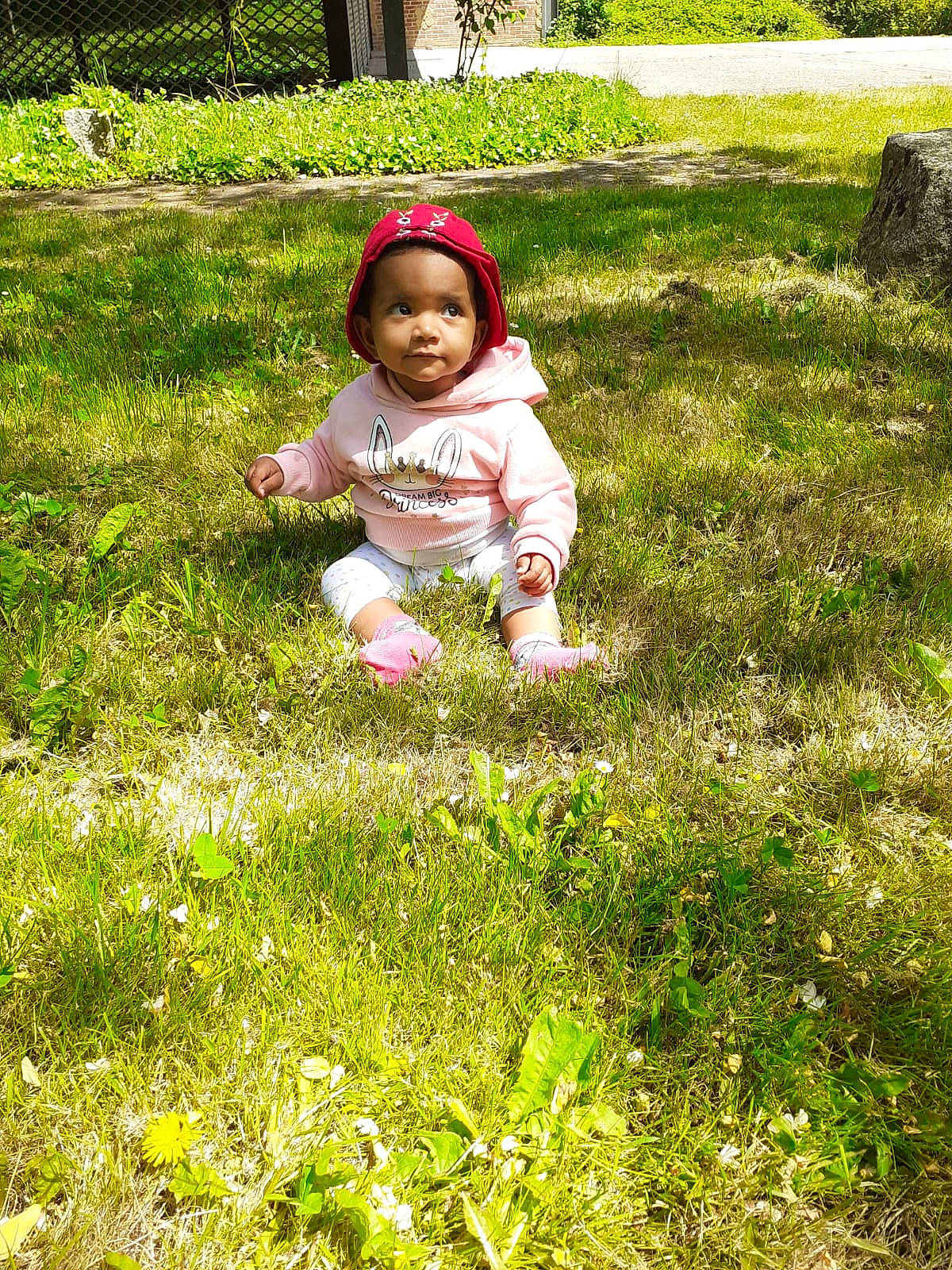 Elora participe au concours pour gagner de l'argent avec cette photo : botany, child, garden, grass, grass_family, green, groundcover, happy, lawn, leaf, meadow, people_in_nature, person, plant, play, spring, summer, sunlight, toddler, tree