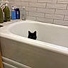 black_cat, bathtub, bathroom, tiles, shampoo_bottles, soap_bottles, cat_peeking, white_tub, green_floor_mat, curtains, indoor, animal, pet, cleaning_products, household, curiosity, small_animal, bathroom_wall, tile_wall, cat_face