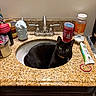 cat, black_cat, sink, bathroom, countertop, granite, toiletries, faucet, vitamin_c, deodorant, toothpaste, container, bottle, cat_collar, domestic_cat, pet, indoor, curious, relaxed, animal