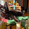 black_cat, cat, cat_tree, green_eyes, sunlight, window, indoor, pet, feline, relaxing, furniture, cozy, home, colorful, animal, whiskers, ears, paw, soft_fur, daylight