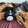 dog, plush_toy, blanket, bed, bandana, black_and_white, indoor, sofa, cozy, pet, stuffed_animal, resting, fur, home, comfort, animal, cute, relaxing, fabric, colorful