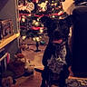 dog, christmas_tree, holiday_decorations, plush_toys, carpet, wooden_floor, bookshelf, photo_frame, living_room, festive, indoor, pet, smiling_dog, decorations, ribbons, ornaments, cozy, home, black_dog, white_spots