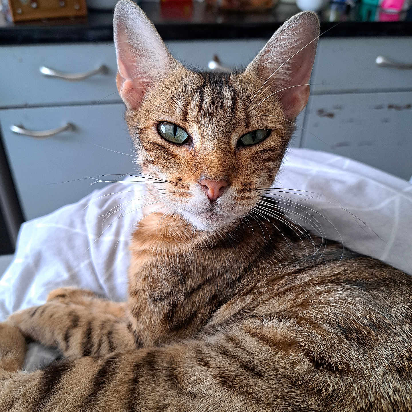 Kiki