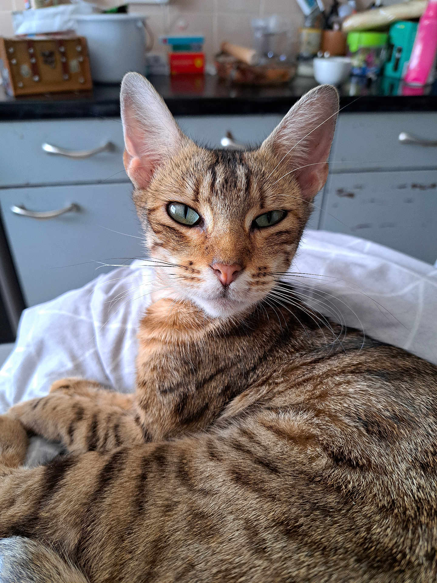 Kiki