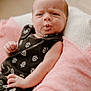 baby, infant, face, expression, black_dress, floral_pattern, blanket, pink_blanket, white_blanket, skin, hand, newborn, cute, portrait, indoors, soft_lighting, person, resting, young_child, cozy